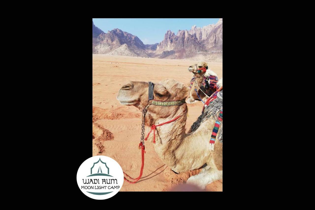 Wadi Rum Moon Light Camp エクステリア 写真